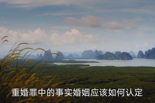 重婚罪中的事實(shí)婚姻應(yīng)該如何認(rèn)定