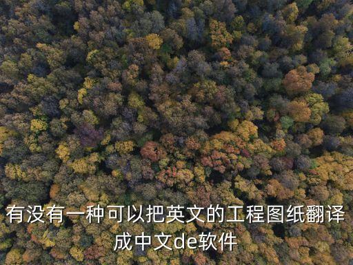 有沒有一種可以把英文的工程圖紙翻譯成中文de軟件