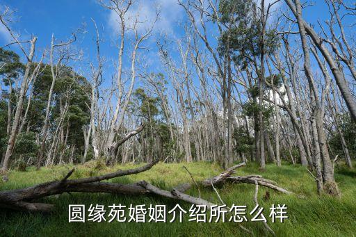 圓緣苑婚姻介紹所靠譜嗎，婚姻介紹所可靠嗎
