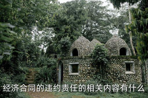 經(jīng)濟(jì)合同的違約責(zé)任的相關(guān)內(nèi)容有什么
