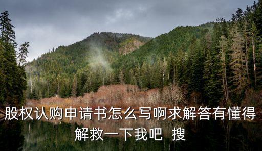 股權確認書范本，股權轉讓確認書怎么寫