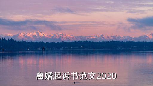 離婚起訴書范文2020