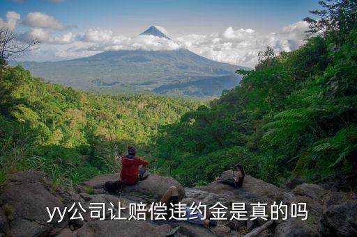 yy公司讓賠償違約金是真的嗎