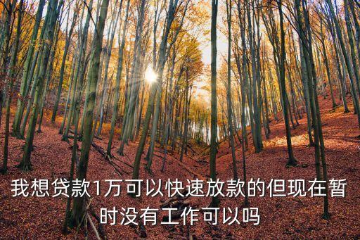 我想貸款1萬可以快速放款的但現(xiàn)在暫時沒有工作可以嗎