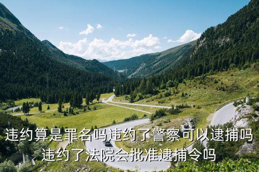 合同違約犯法嗎，違約算是罪名嗎違約了警察可以逮捕嗎違約了法院會(huì)批準(zhǔn)逮捕令嗎