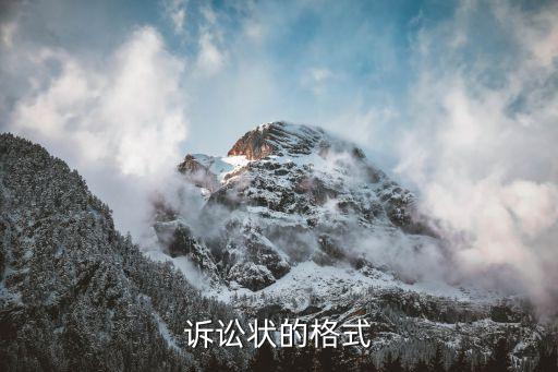 起訴狀格式和范文，訴訟狀的格式