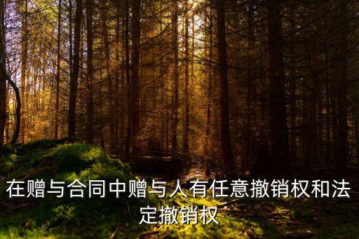 法定解除權(quán)任意解除權(quán)，在贈(zèng)與合同中贈(zèng)與人有任意撤銷權(quán)和法定撤銷權(quán)
