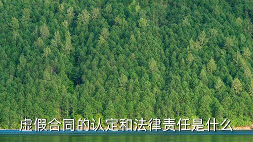 虛假合同的認定和法律責任是什么