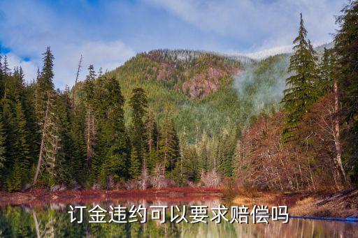 訂金違約可以要求賠償嗎，訂金違約可以要求賠償嗎