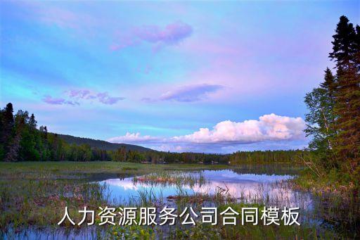 人力資源服務(wù)合同模板，人力資源服務(wù)公司合同模板