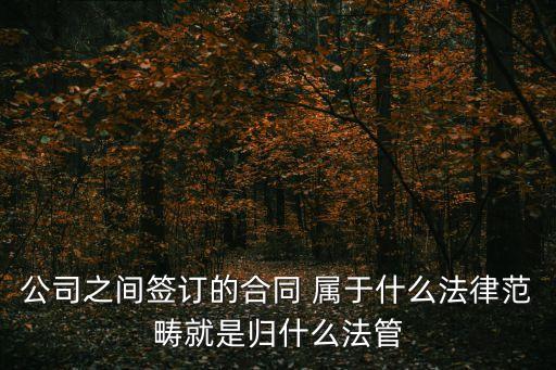 公司之間簽訂的合同 屬于什么法律范疇就是歸什么法管