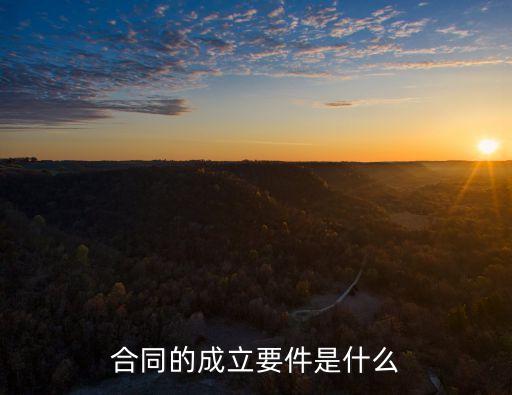 合同的成立要件是什么