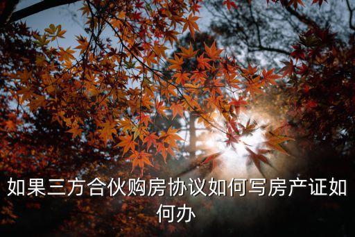 如果三方合伙購房協(xié)議如何寫房產(chǎn)證如何辦