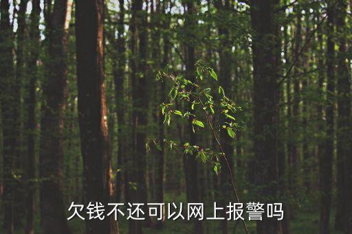欠錢不還可以網(wǎng)上報(bào)警嗎