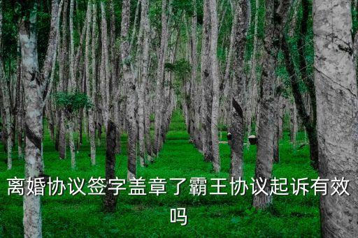 離婚協(xié)議簽字蓋章了霸王協(xié)議起訴有效嗎