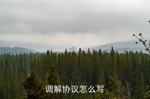 調(diào)解協(xié)議怎么寫(xiě)