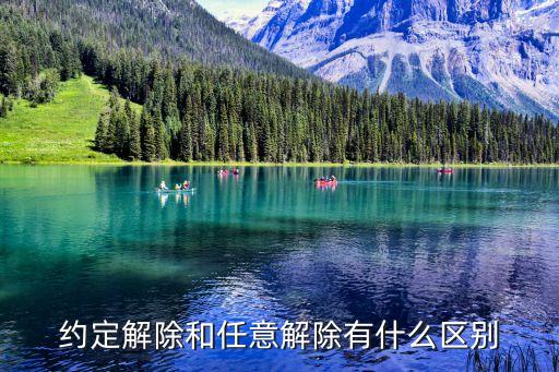 合同約定任意解除權(quán)的判決，約定解除和任意解除有什么區(qū)別
