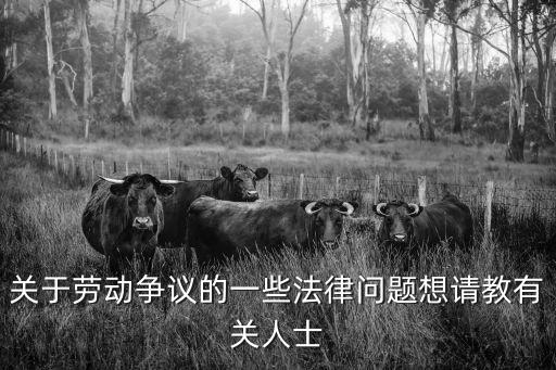 法律中具有爭(zhēng)議的問(wèn)題，什么是法律爭(zhēng)議