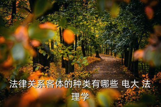 法律關(guān)系客體的種類有哪些 電大 法理學(xué)