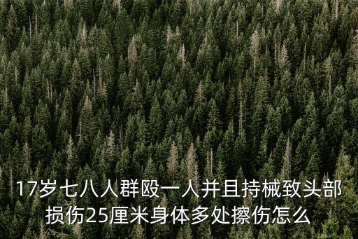 17歲七八人群毆一人并且持械致頭部損傷25厘米身體多處擦傷怎么