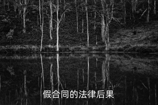 虛假合同的法律后果有哪些，假合同的法律后果