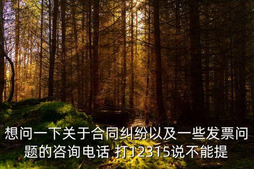想問(wèn)一下關(guān)于合同糾紛以及一些發(fā)票問(wèn)題的咨詢電話 打12315說(shuō)不能提