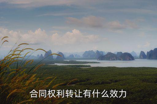 權(quán)限轉(zhuǎn)讓合同有什么法律，簽訂股權(quán)轉(zhuǎn)讓合同有什么法律限制