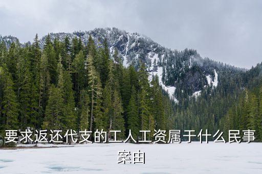 要求返還代支的工人工資屬于什么民事案由