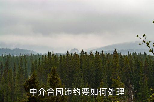中介合同違約怎么辦，中介合同違約要如何處理
