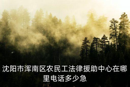 沈陽市渾南區(qū)農(nóng)民工法律援助中心在哪里電話多少急