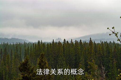 法律關(guān)系的概念