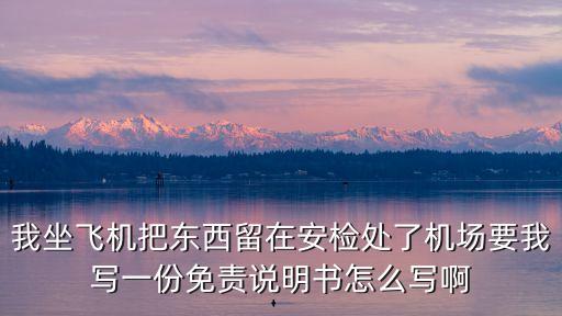 我坐飛機(jī)把東西留在安檢處了機(jī)場(chǎng)要我寫一份免責(zé)說明書怎么寫啊