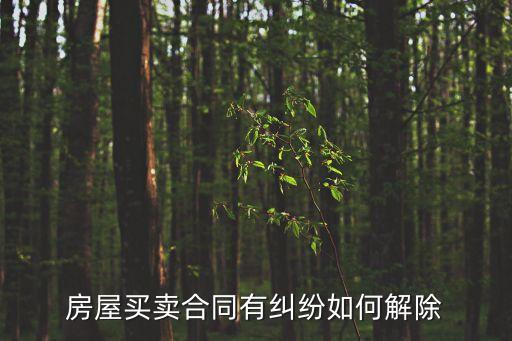怎么解決房屋買賣合同糾紛案例，法院如何處理房屋買賣合同糾紛