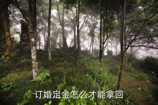 訂婚定金怎么才能拿回