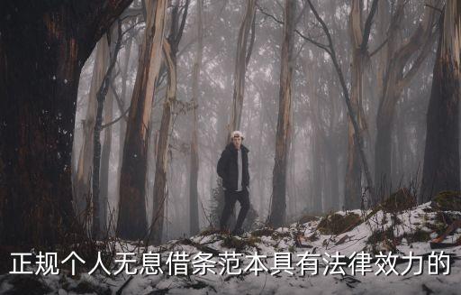 正規(guī)個(gè)人無(wú)息借條范本具有法律效力的