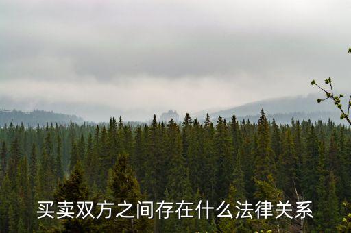買賣雙方之間存在什么法律關(guān)系
