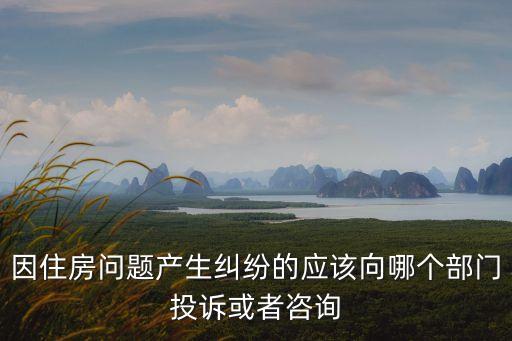 因住房問題產(chǎn)生糾紛的應(yīng)該向哪個(gè)部門投訴或者咨詢