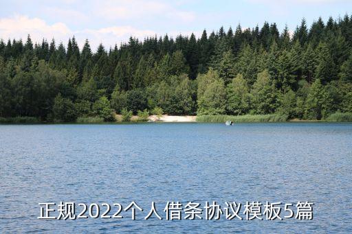 正規(guī)2022個(gè)人借條協(xié)議模板5篇