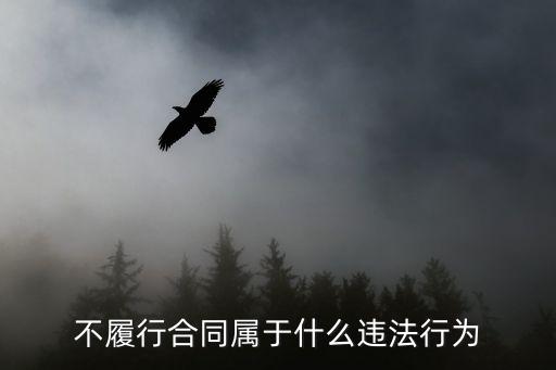 不履行合同屬于什么違法行為