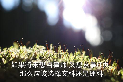 如果將來(lái)想當(dāng)律師 又想從事IT頁(yè) 那么應(yīng)該選擇文科還是理科