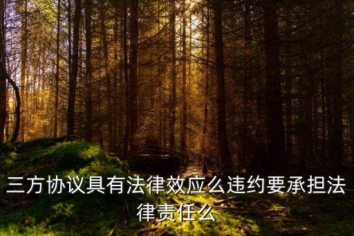 三方協(xié)議具有法律效應(yīng)么違約要承擔(dān)法律責(zé)任么