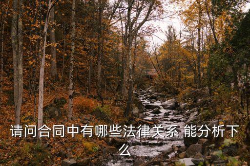 請問合同中有哪些法律關(guān)系 能分析下么