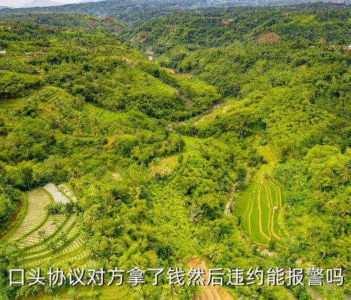 故意違約合同報(bào)警，口頭協(xié)議對(duì)方拿了錢然后違約能報(bào)警嗎