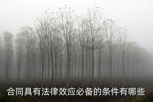 合同具有法律效應(yīng)必備的條件有哪些