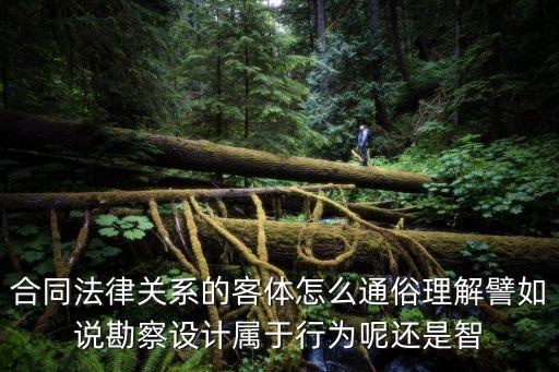合同法律關(guān)系的客體怎么通俗理解譬如說勘察設(shè)計(jì)屬于行為呢還是智