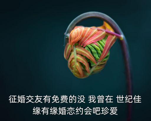 征婚交友有免費的沒 我曾在 世紀佳緣有緣婚戀約會吧珍愛