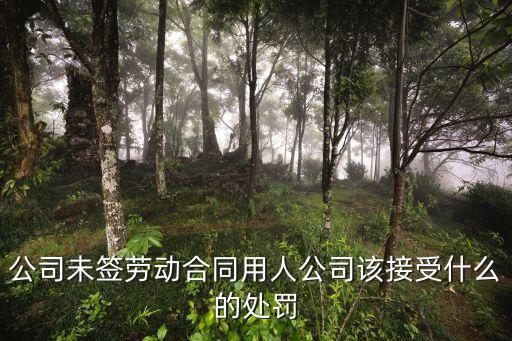 公司未簽勞動(dòng)合同用人公司該接受什么的處罰