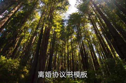 離婚協(xié)議書模板