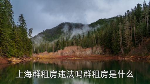 上海不允許合租了么，上海為什么不允許群租