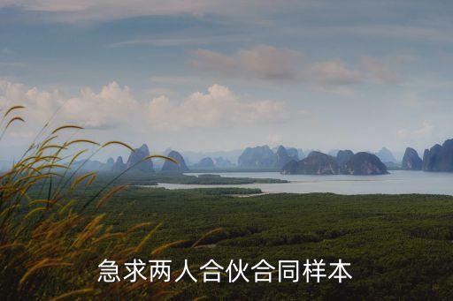 二人合伙協(xié)議書下載，兩人合伙開店合同